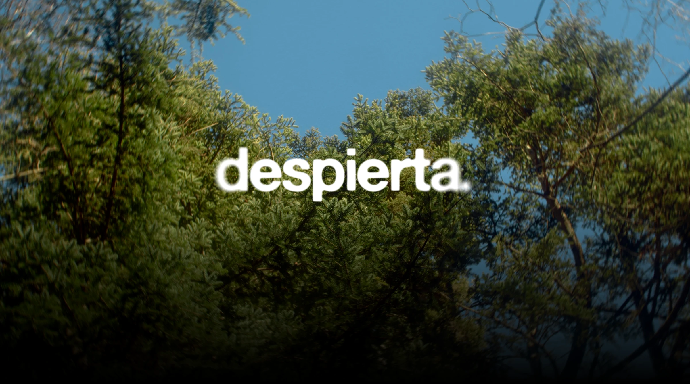 Despierta