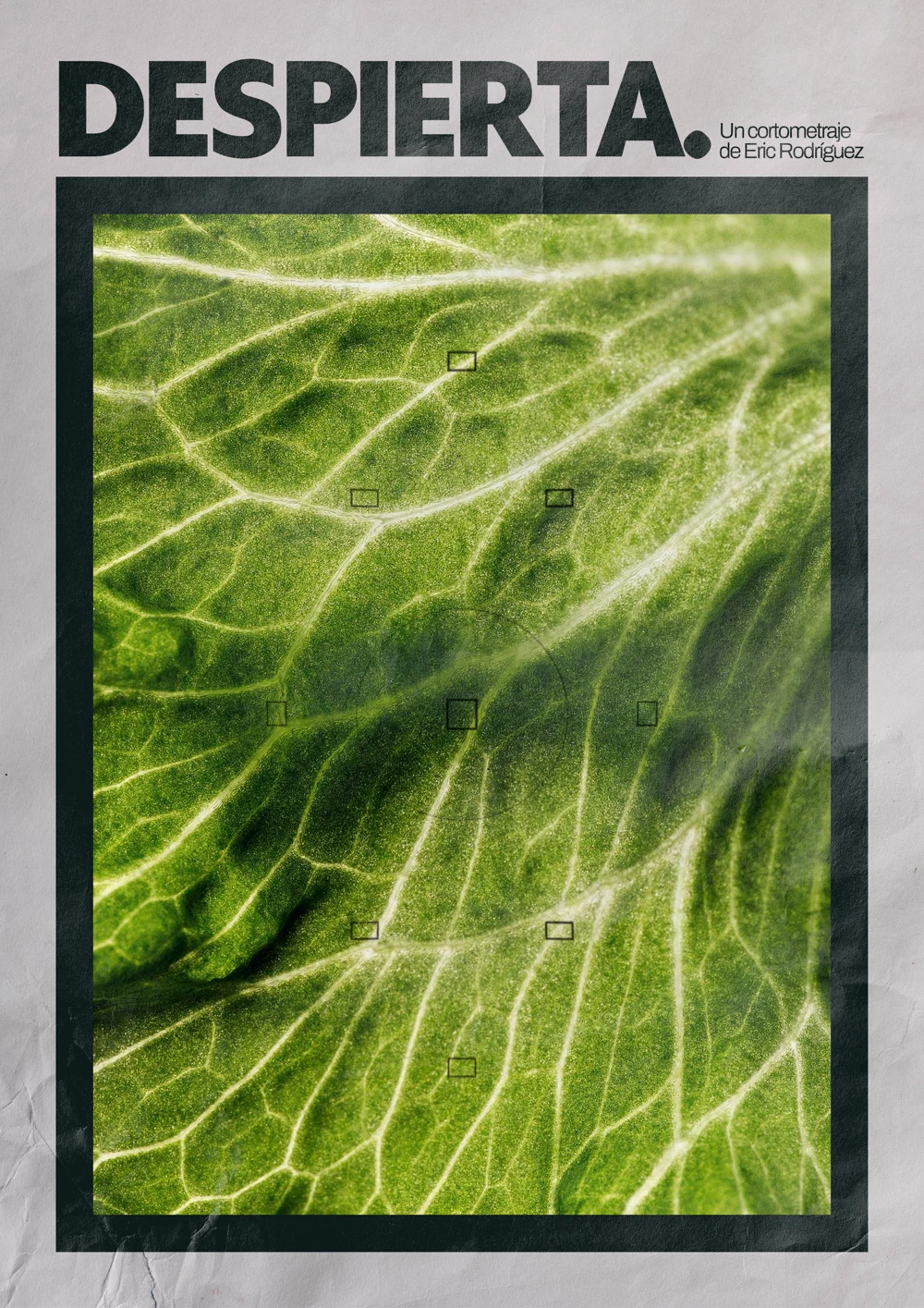 Despierta — poster
