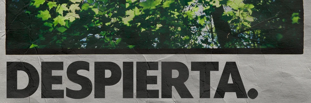 Despierta — casting